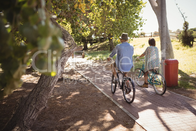 Rear view of couple riding bicycle at footpath