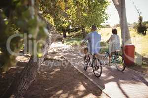 Rear view of couple riding bicycle at footpath