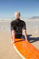 Rear view of man sitting on surfboard against sea