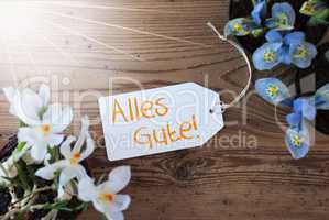 Sunny Flowers, Label, Alles Gute Means Best Wishes