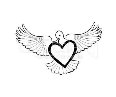 Love heart brought by flying bird dove. Valentine day greeting c