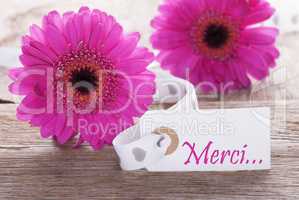 Pink Spring Gerbera, Label, Merci Means Thank You
