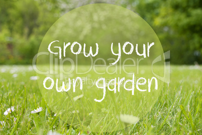 Gras Meadow, Daisy Flowers, Quote Grow Your Own Garden