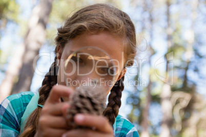 Girl looking at dry pine cone through magnifying glass