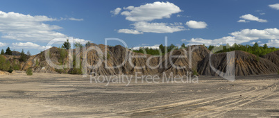 Spring Trees on Sand Hills in the Abandoned Quarry