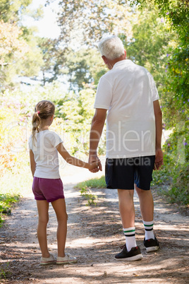 Grandfather and granddaughter holding hands while walking together