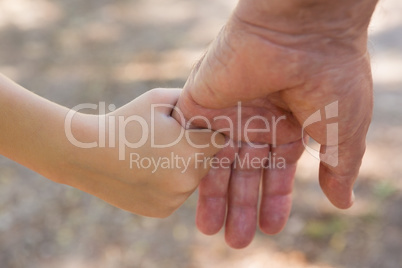 Grandfather holding his granddaughter hand in the forest