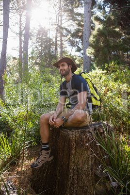 Man resting on the tree stump in the forest