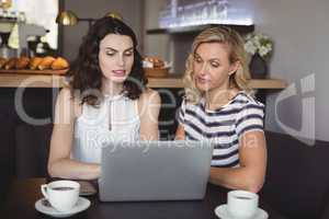 Friends using laptop at table