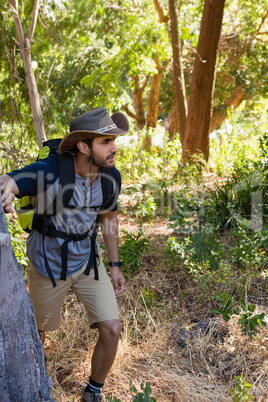 Man with backpack walking in the forest