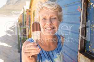 Portrait of happy senior woman holding ice cream while standing by hut