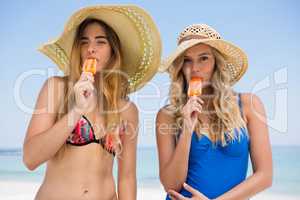 Portrait of female friends eating popsicles