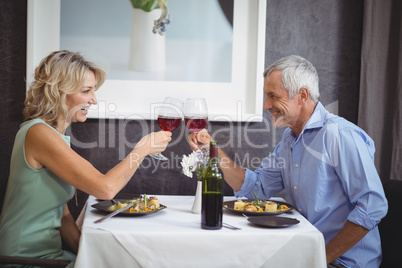 Mature couple toasting their glasses of red wine