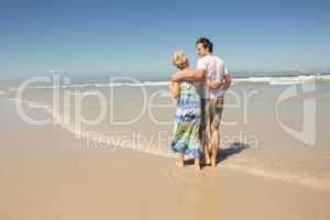 Rear view of happy man walking with mother on sand