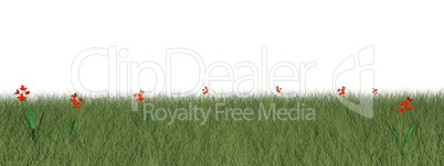 Grassland with flowers - 3D render