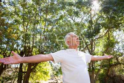 Senior man with arms outstretched in the forest