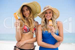 Portrait of female friends holding popsicles