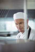 Chef preparing food in the commercial kitchen