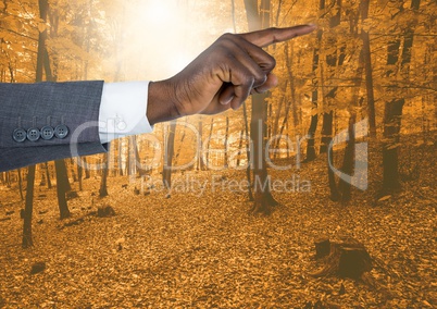 Hand pointing in  air of  forest