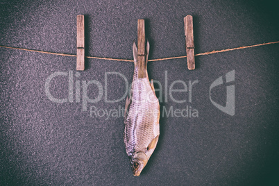 Dried fish hanging on the rope