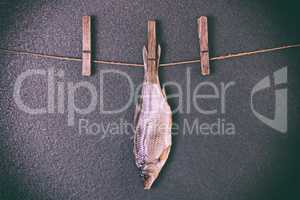 Dried fish hanging on the rope