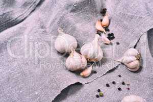 white heads raw garlic on a gray cloth, close up