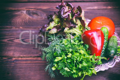 Fresh vegetables, parsley, dill and lettuce