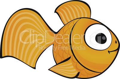 golden fish isolated