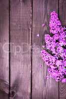Purple lilac branch on brown wooden surface