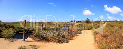 Upper Newport Bay Nature Preserve hiking trail winds along the m