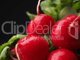 Fresh organic radishes