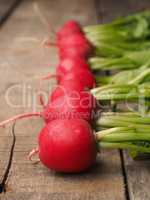 Row of radishes