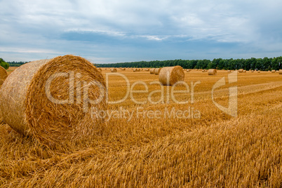 Rolls of Hay on the Evening Field