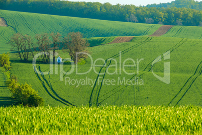 Small Chapel in the Fields of Moravia