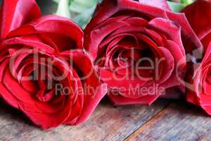 Roses On Wood
