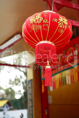 Chinese Lantern Closeup