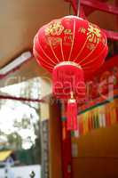 Chinese Lantern Closeup