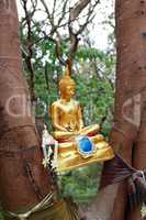 Golden Buddha On Tree