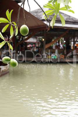 Floating Market In Thailand