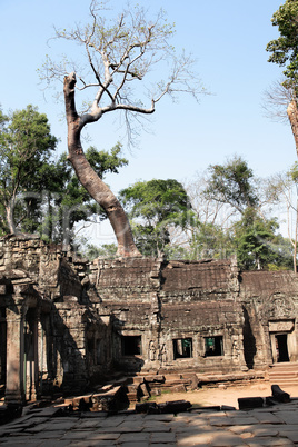 Angkor Wat Temple