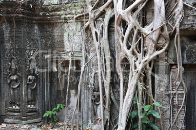 Angkor Wat Temple