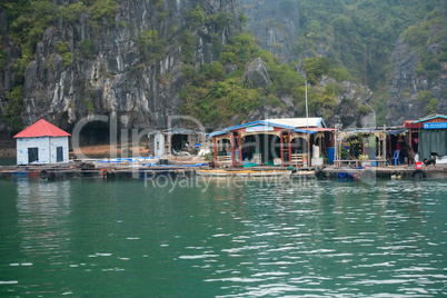 Halong Bay In Vietnam