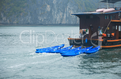 Halong Bay In Vietnam