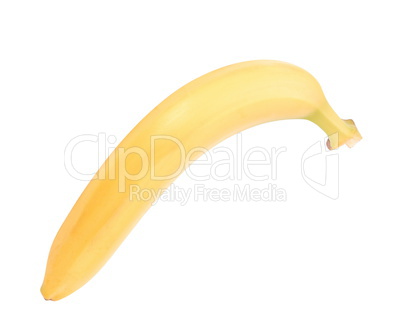 raw Yellow Banana Isolated