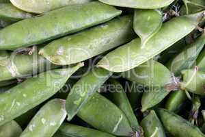many green pea at day