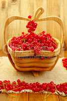 fresh red currant on the wooden vase