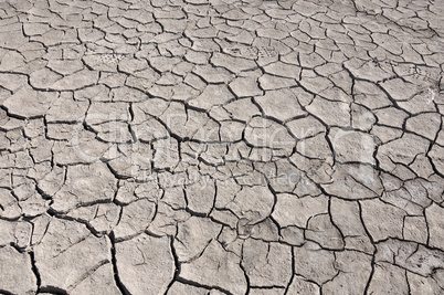 cracked by drought the ground