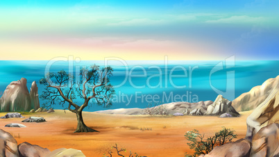 Rocky Shore with Lonely Tree Against Blue Sky at Dawn