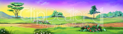 Rural landscape with path and flowers against purple sky