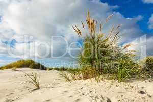 Landschaft in den Dünen auf der Insel Amrum